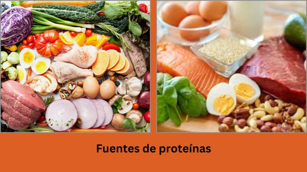 menú dieta para bajar 5 kilos en una semana Fuentes de proteínas