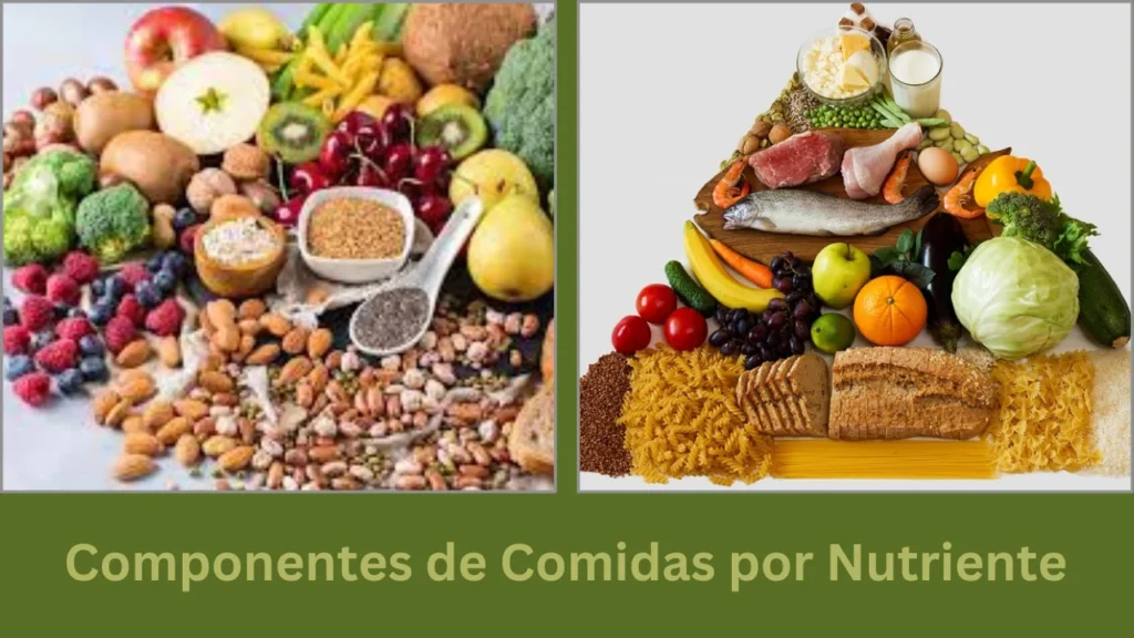 menu saludable para un dia Componentes de Comidas por Nutriente 