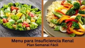 menu para insuficiencia renal