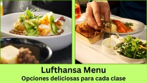 lufthansa menu