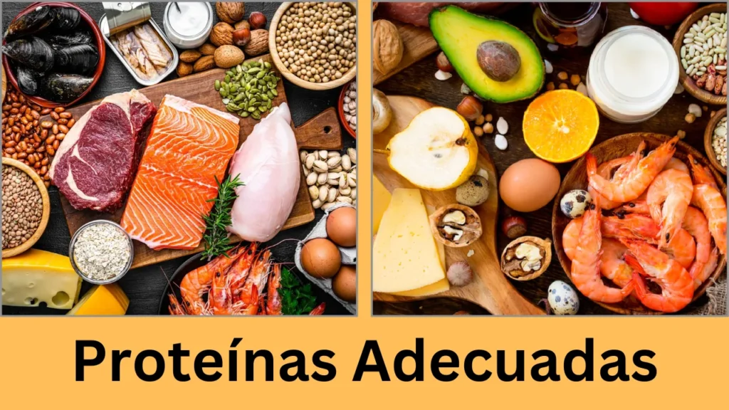 Proteínas Adecuadas Proteínas Adecuadas