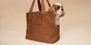 The Best Small Dog Sling Carriers