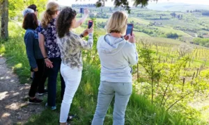 Wine Tours Near Florence You’ll Love