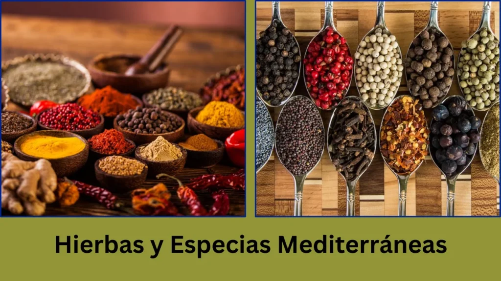 dieta mediterranea menu Hierbas y Especias Mediterráneas