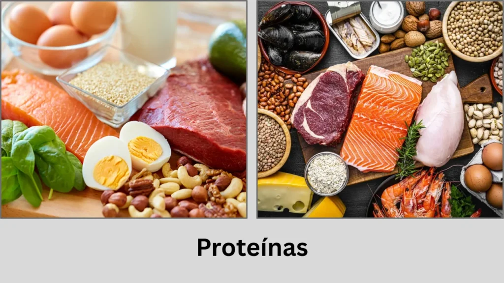 wok menu Proteínas